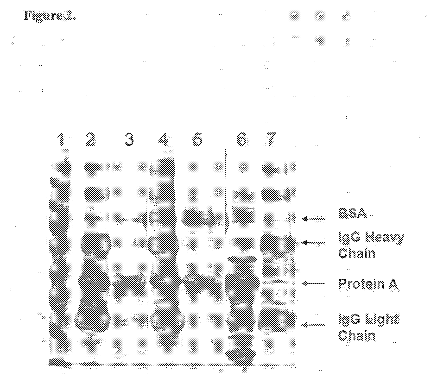 Methods for Coupling of Molecules to Metal/Metal Oxide Surfaces