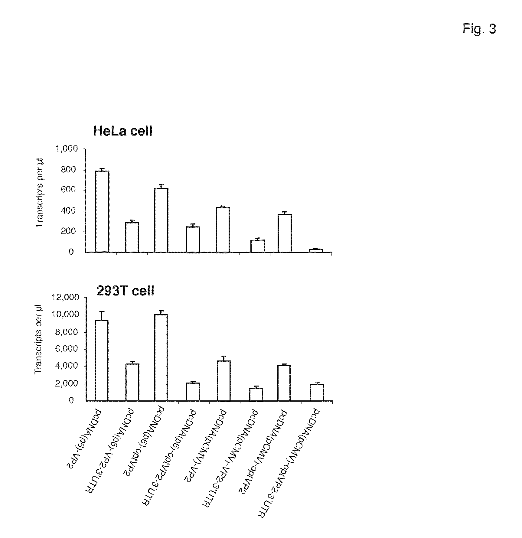 Compositions and methods for preventing or treating a human parvovirus infection