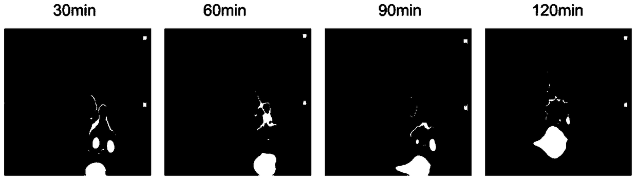 A kind of tumor vegfr-3 molecular imaging agent and its application