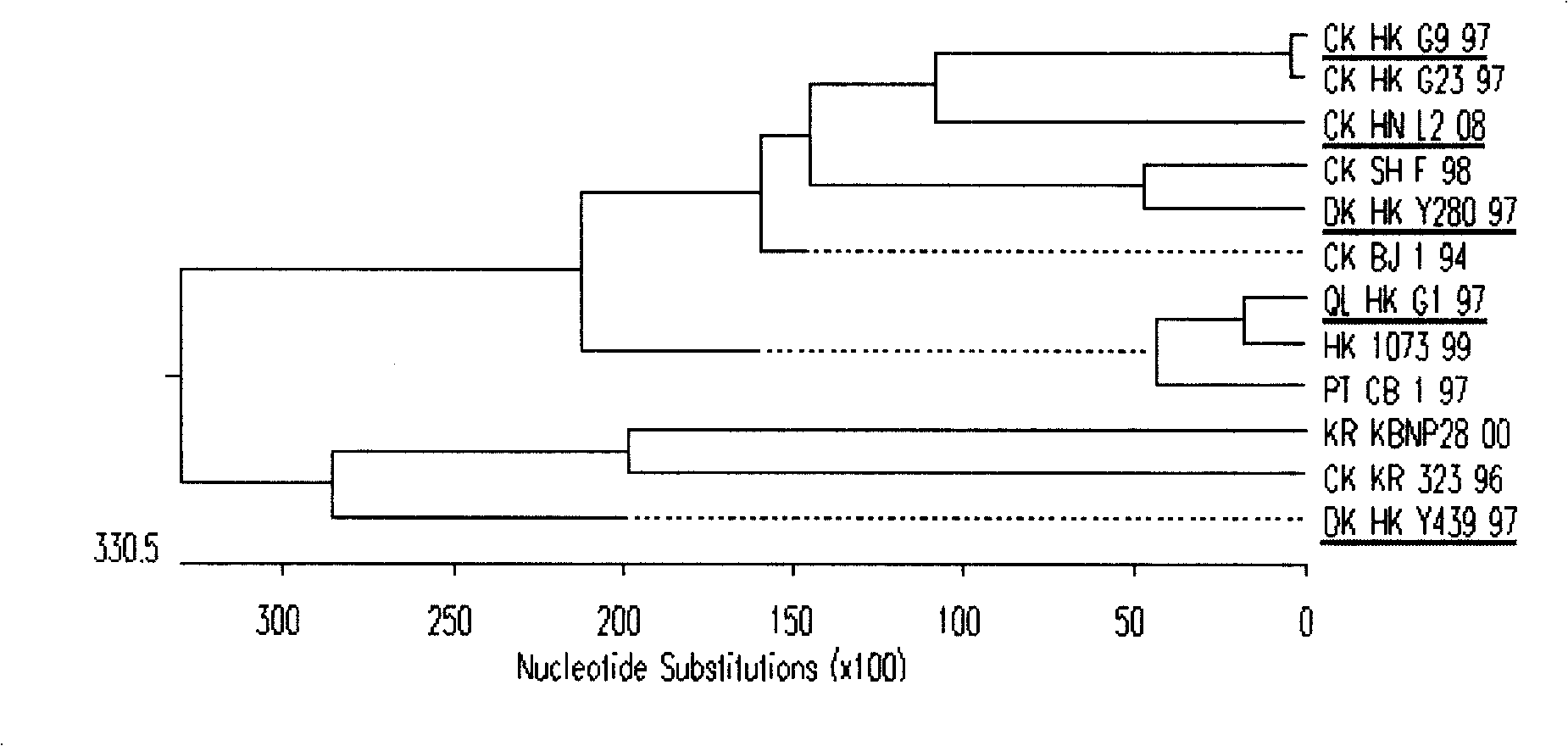 Separation identification and purification process for chicken source H9N2 avian influenza virus strain and uses thereof