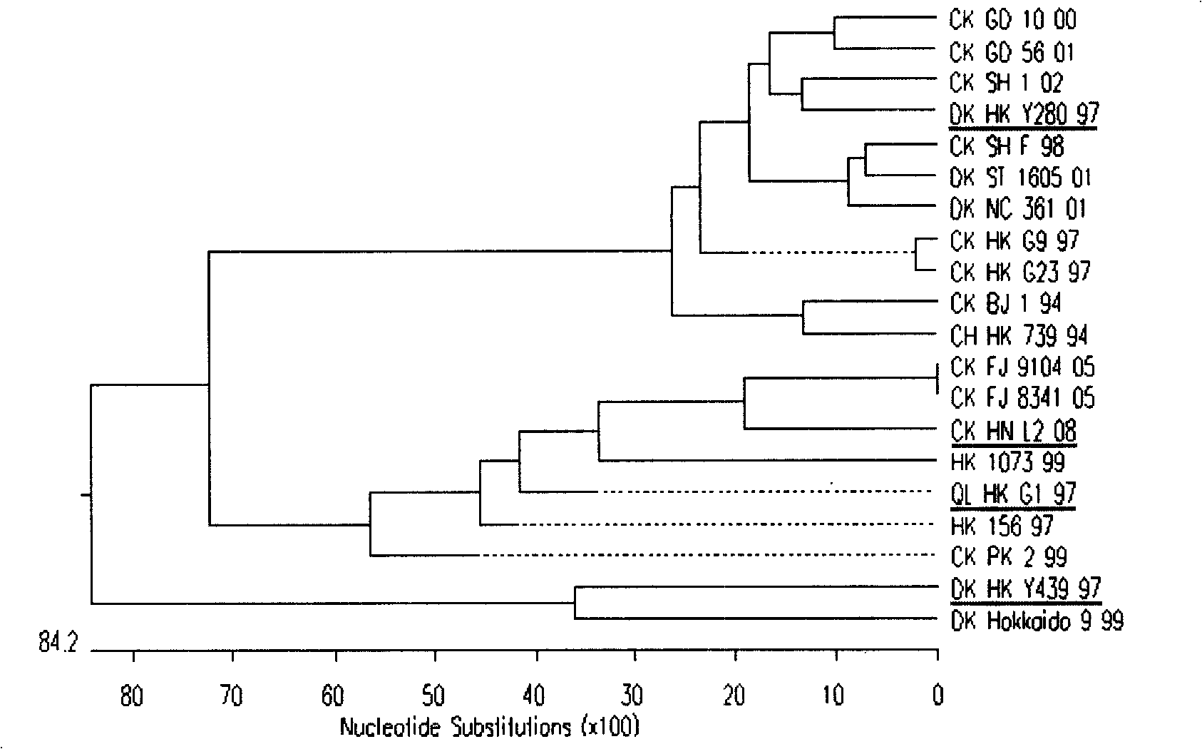 Separation identification and purification process for chicken source H9N2 avian influenza virus strain and uses thereof