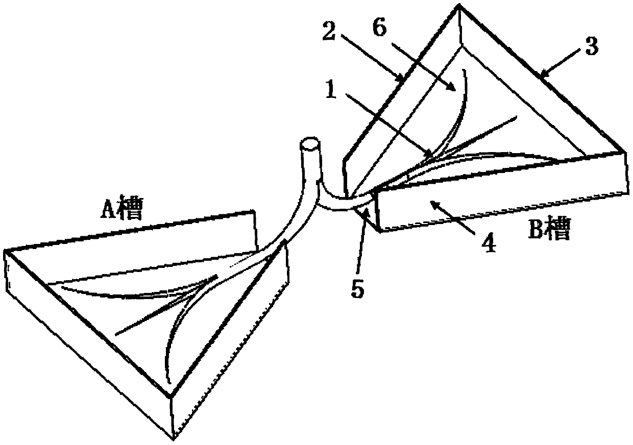 Fruit tree rotation device and liberobacter asiaticum control and repairing process