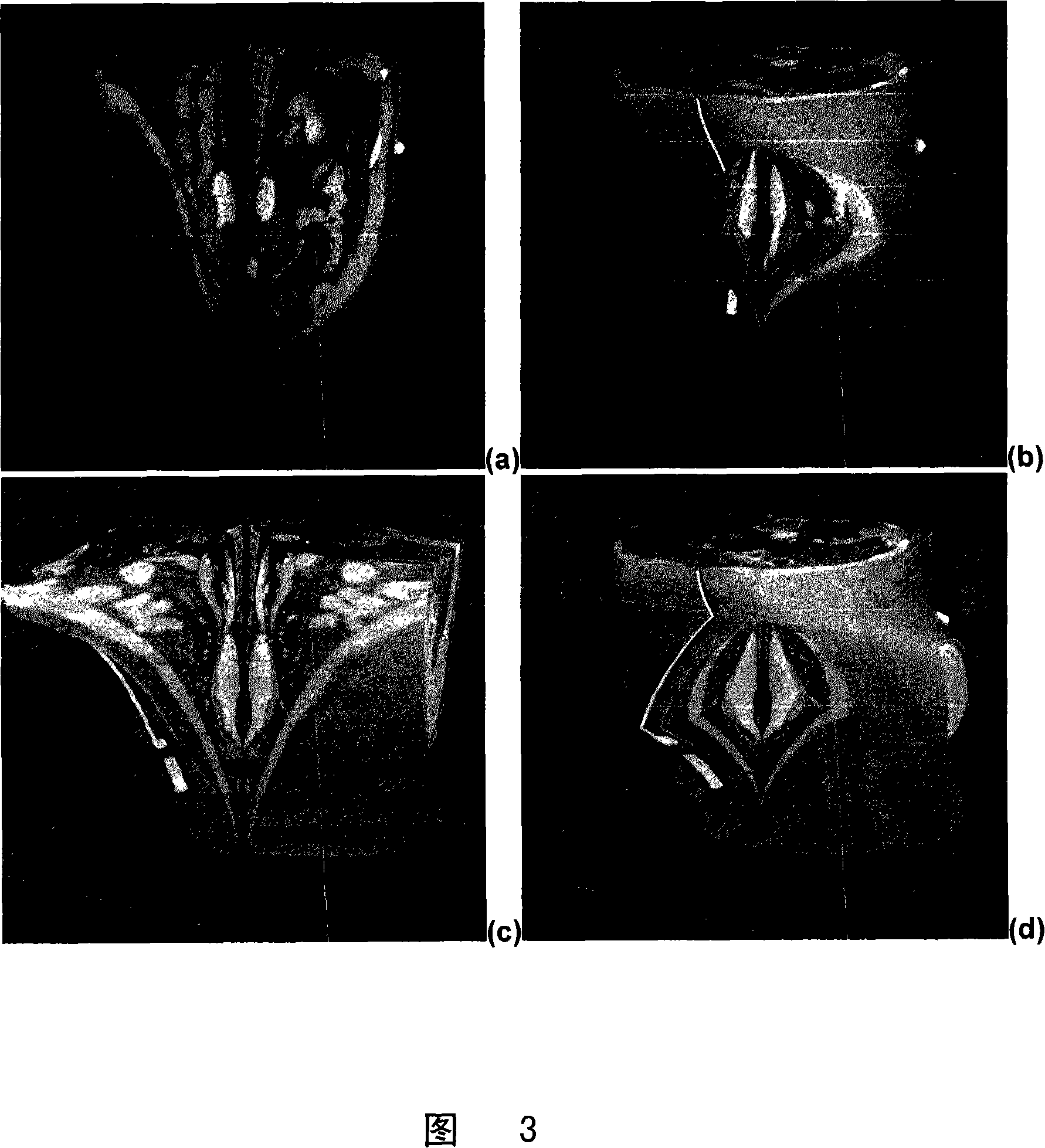 System and method for in-context volume visualization using virtual incision