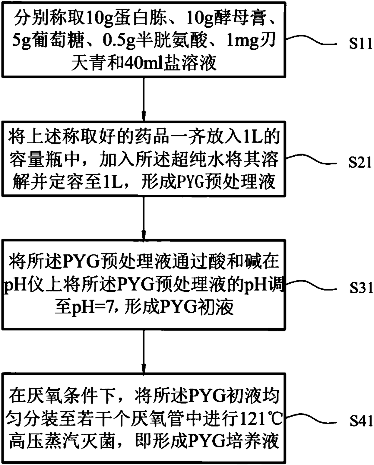 Salt-tolerant anaerobic bacterium and application thereof