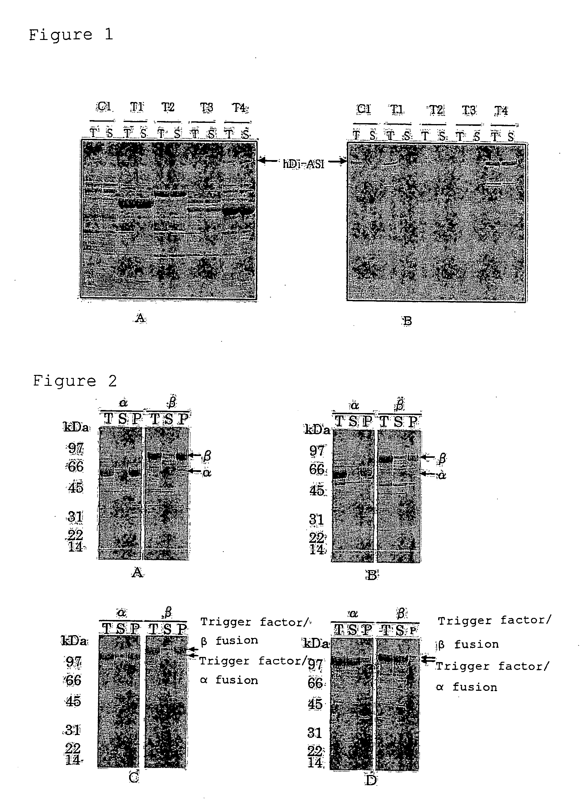 Process For Producing Polypeptide