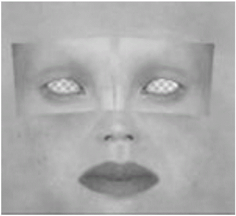 Human face mapping method and device