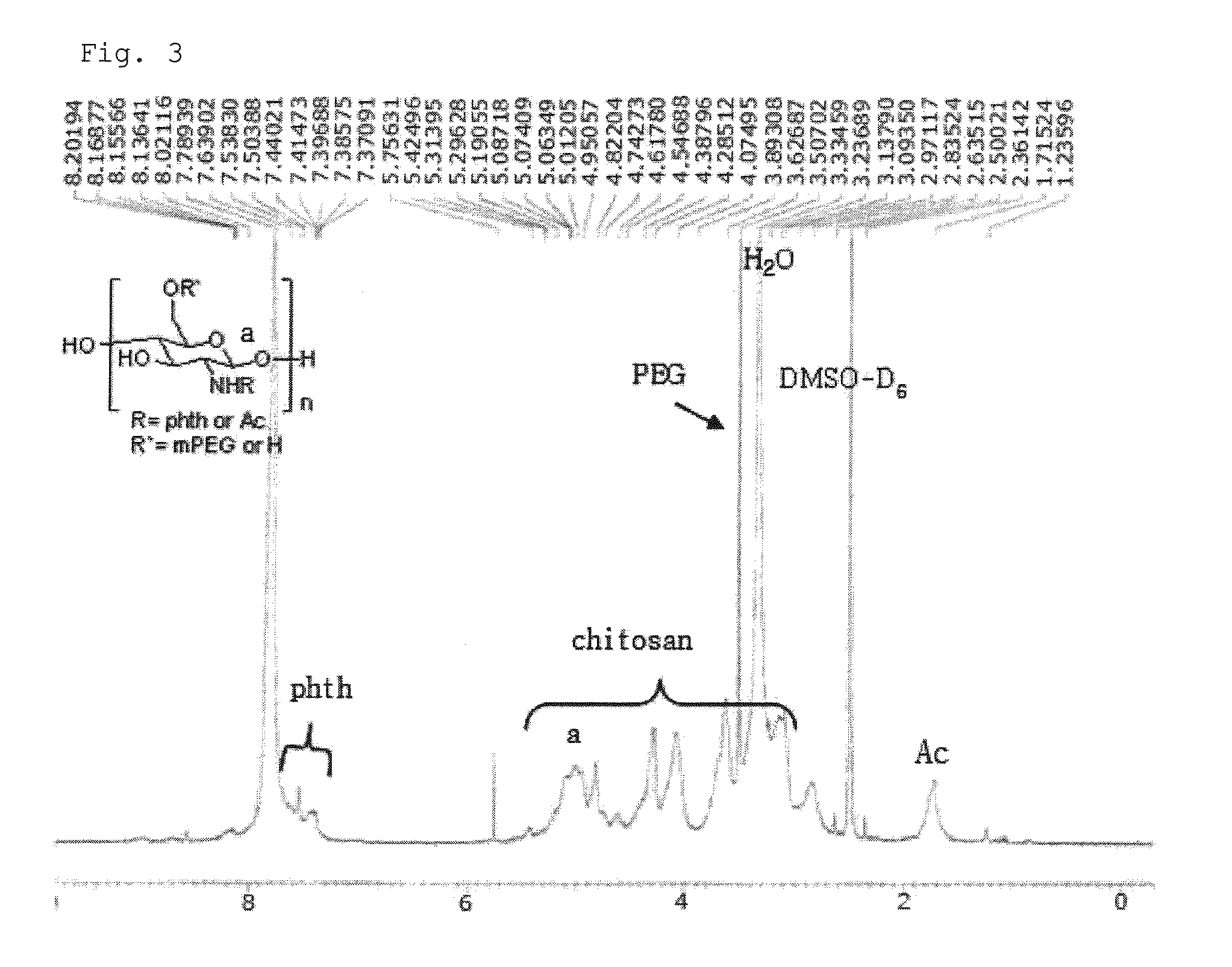 Chitosan based polymer conjugate and a method for producing the same