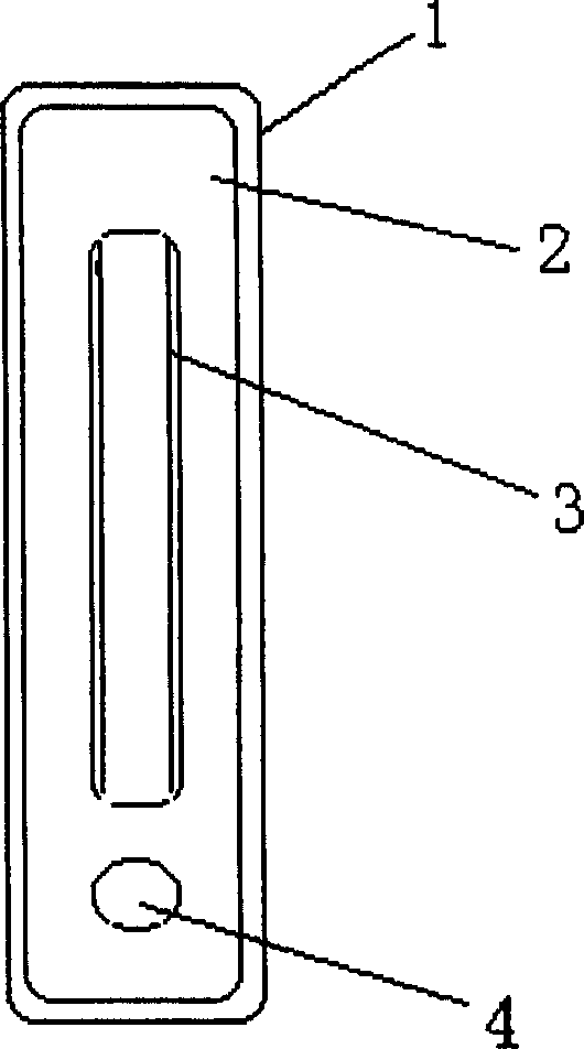 HCV and TORCH protein chip and its preparation and application method