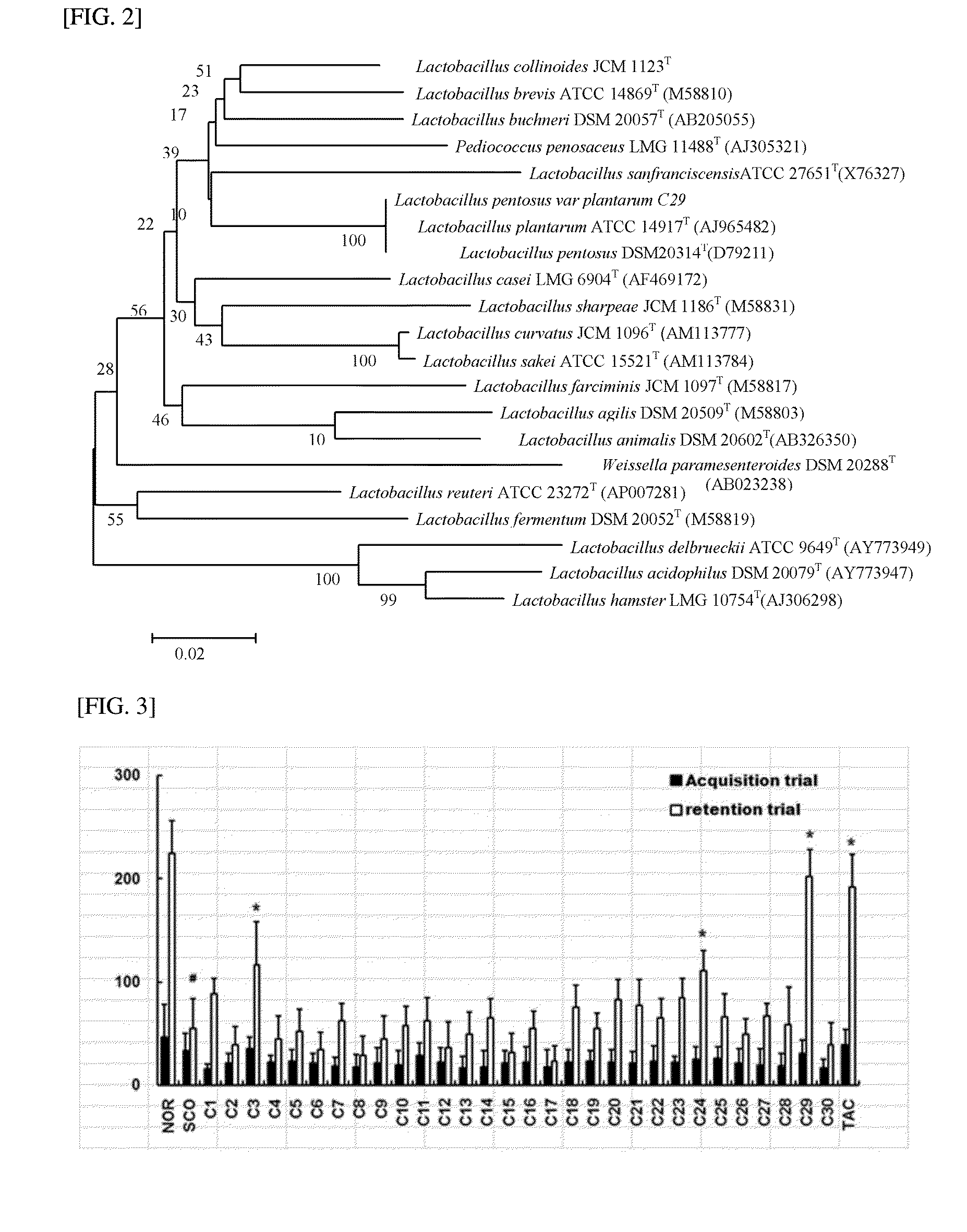 Lactic acid bacteria capable of preventing and/or treating senescence and dementia