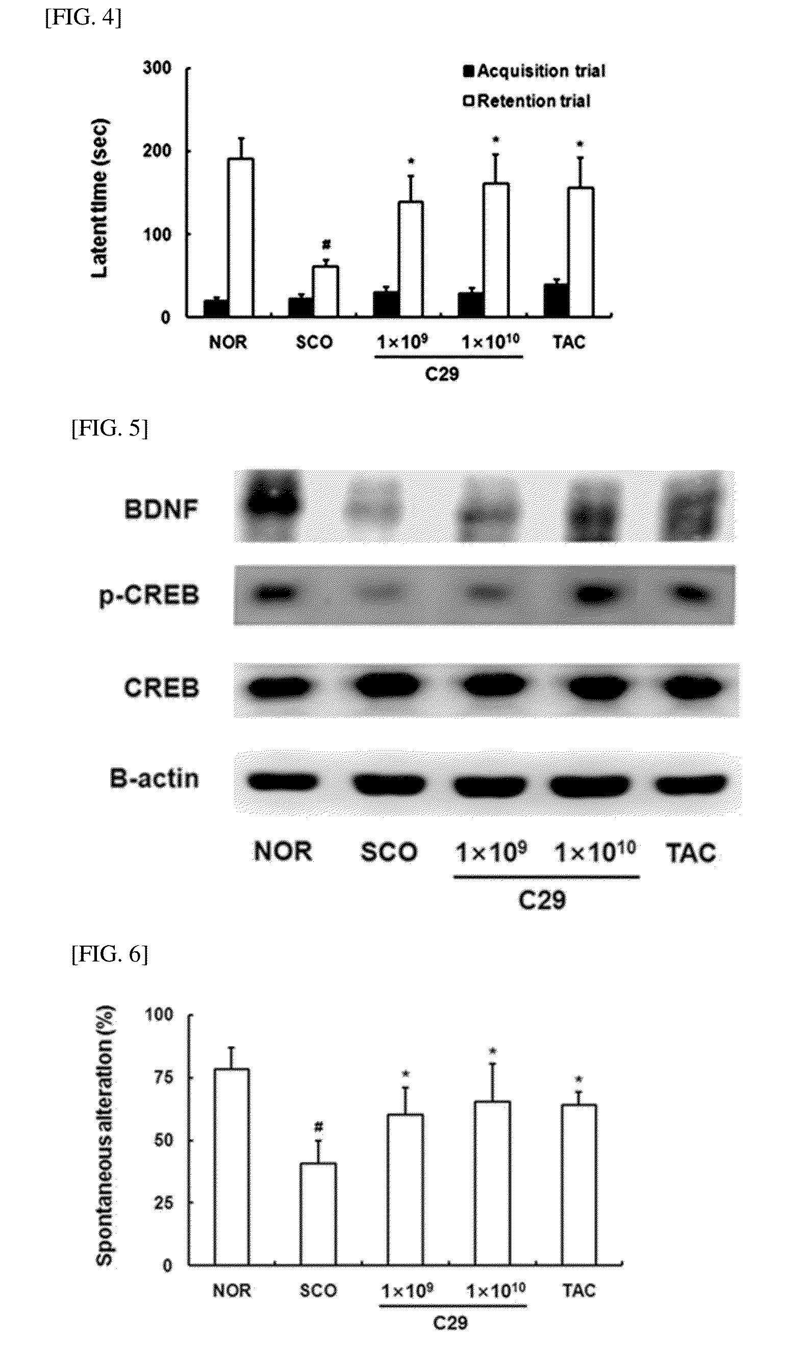 Lactic acid bacteria capable of preventing and/or treating senescence and dementia