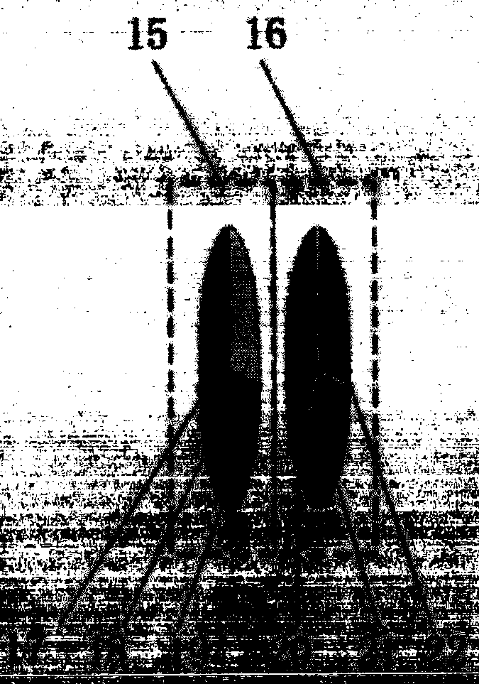 Device capable of producing contrast observation object and chromatic aberration observation object