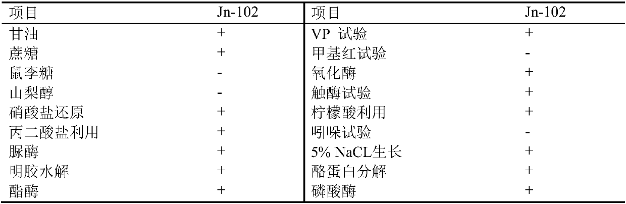 Strain for producing nitrile hydratase and method for producing p-hydroxyphenylacetamide by using strain