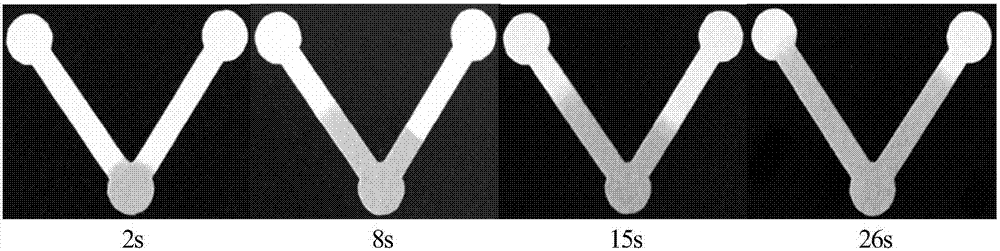 A paper chip for chemiluminescence time-resolved and its fabrication method