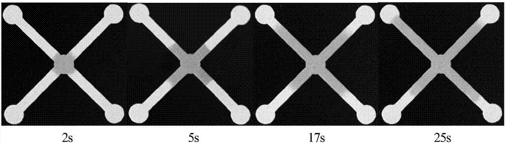 A paper chip for chemiluminescence time-resolved and its fabrication method