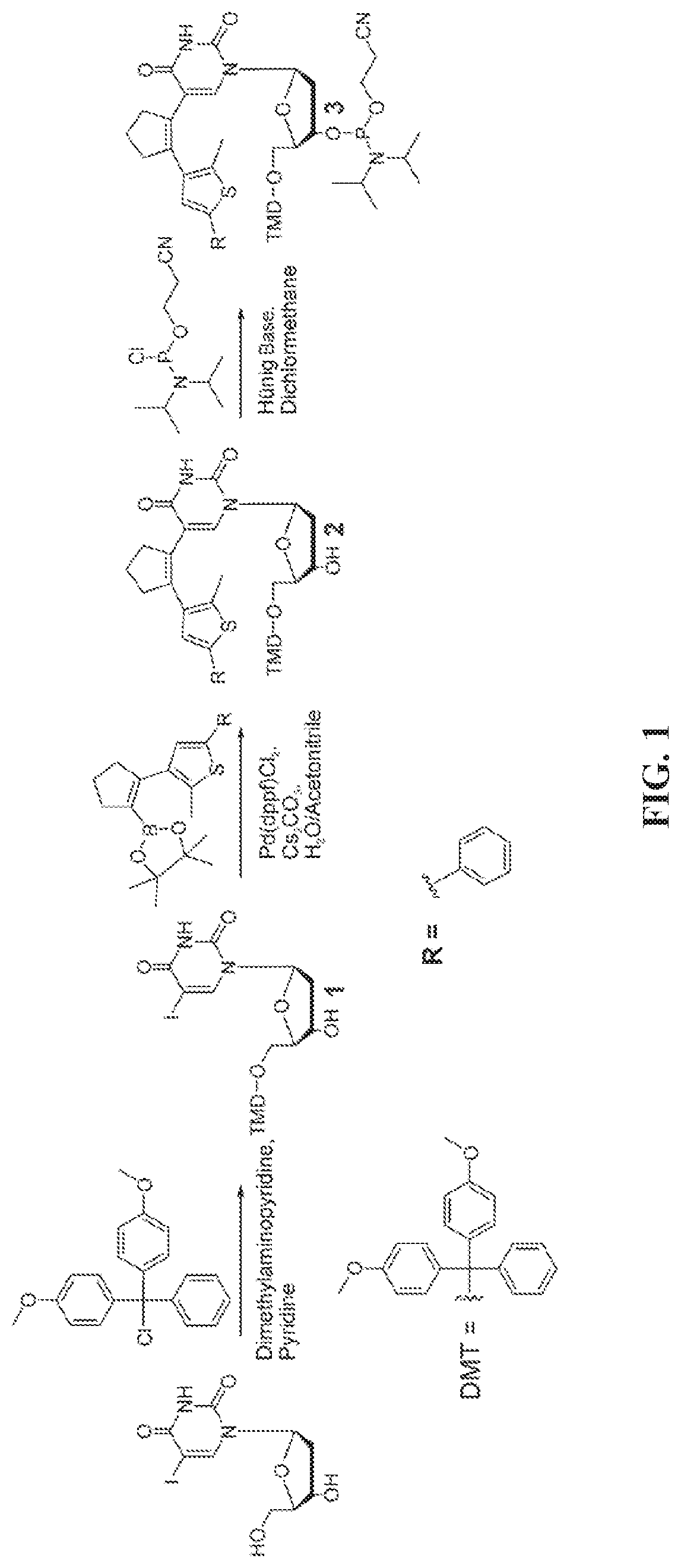 An all-optical excitonic switch operated in liquid and solid phases