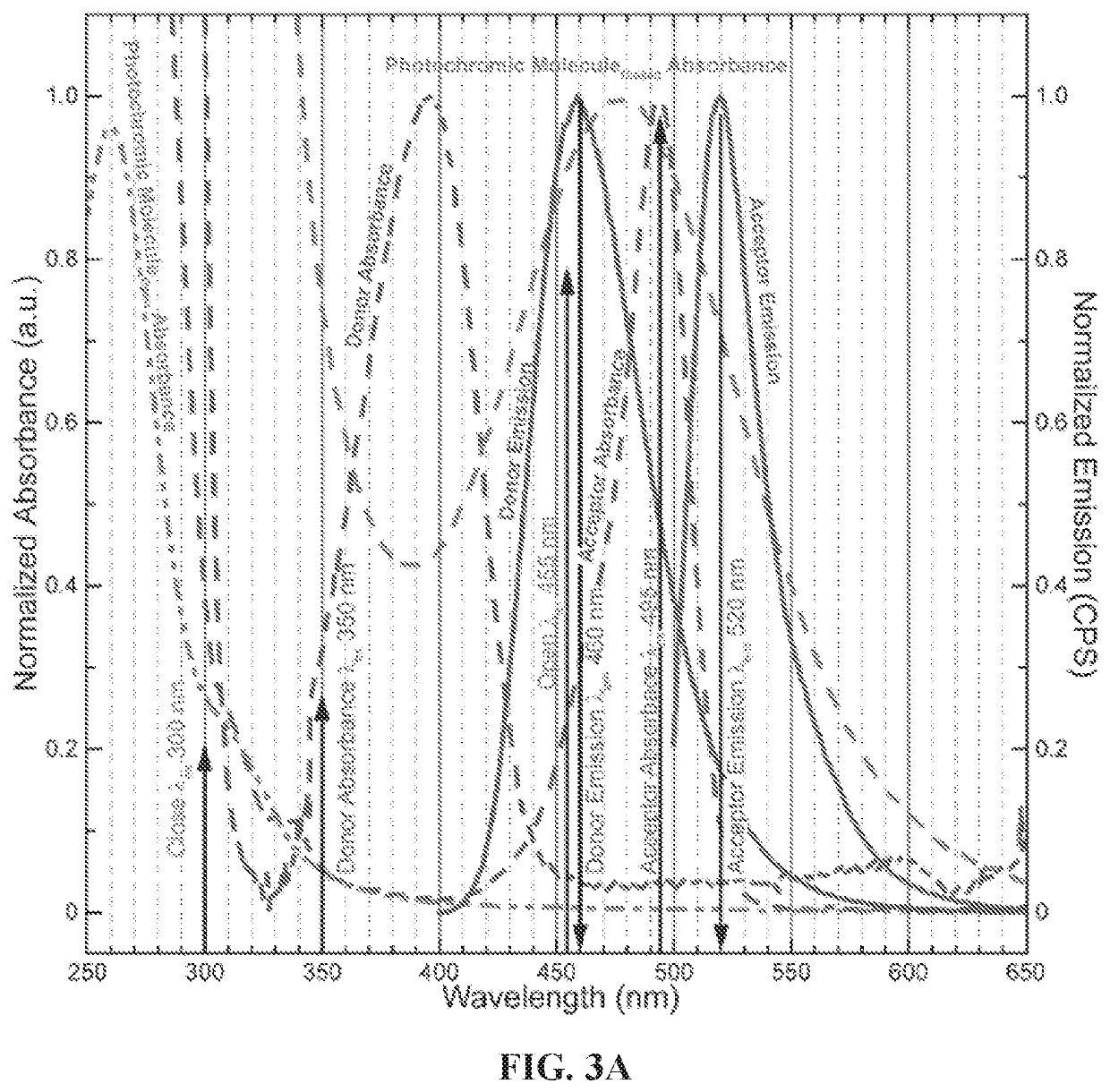 An all-optical excitonic switch operated in liquid and solid phases