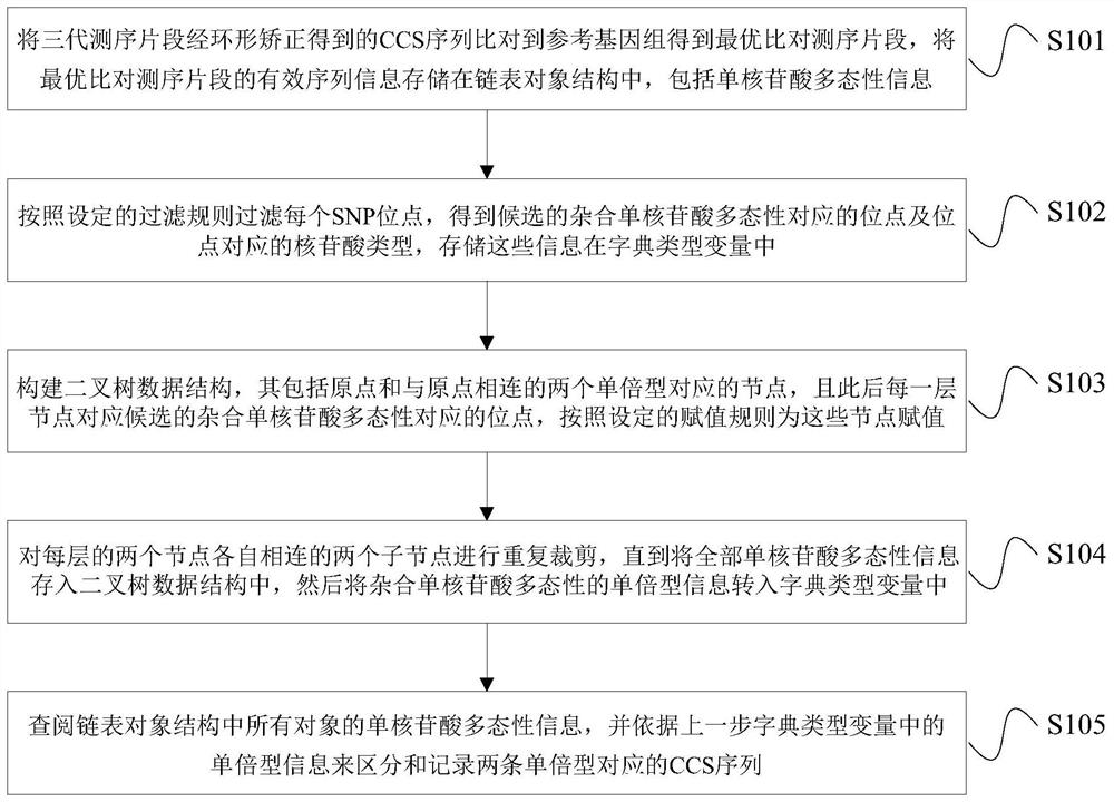 Method and device for haploid typing and variation detection of diploid genome sequencing fragments