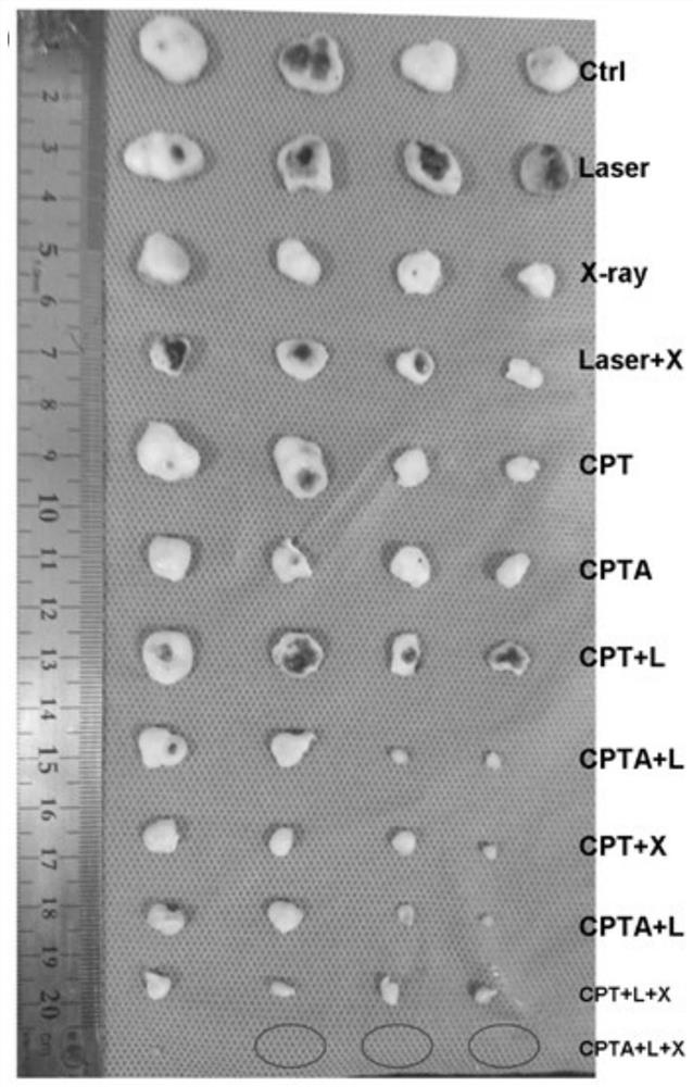 Multifunctional nanoparticles for head and neck squamous cell carcinoma targeted treatment and preparation method