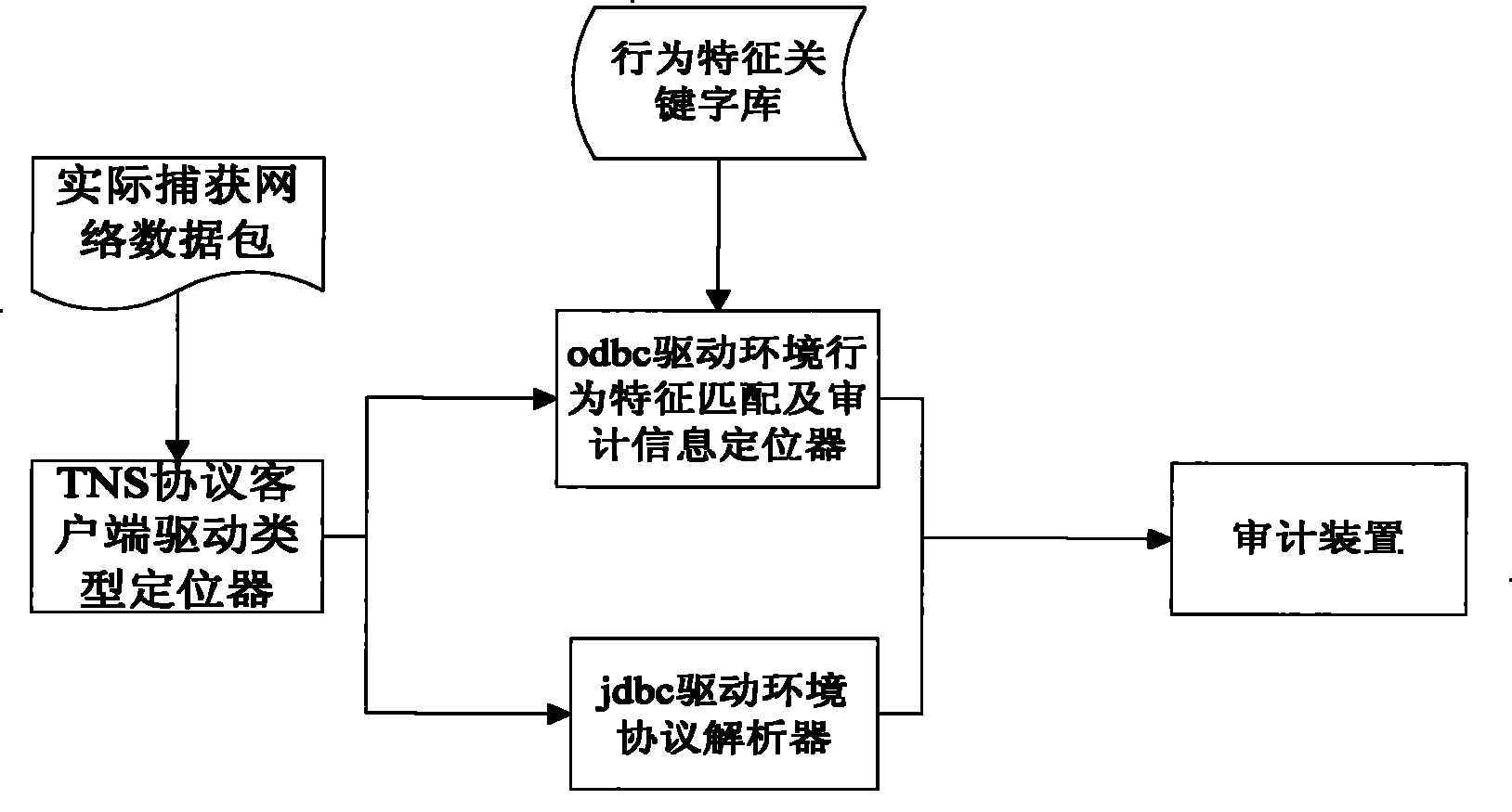 Oracle database audit method and system