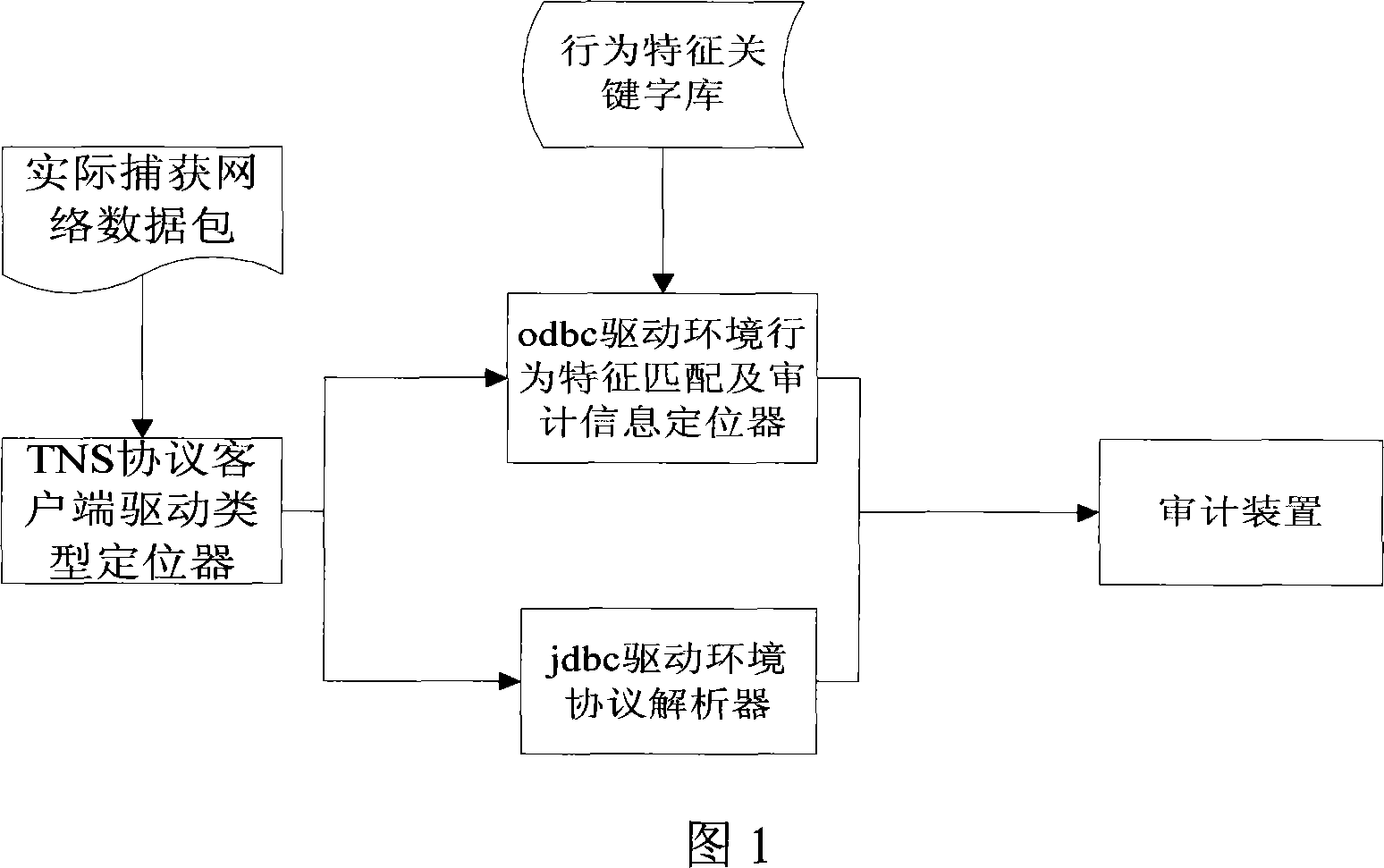 Oracle database audit method and system