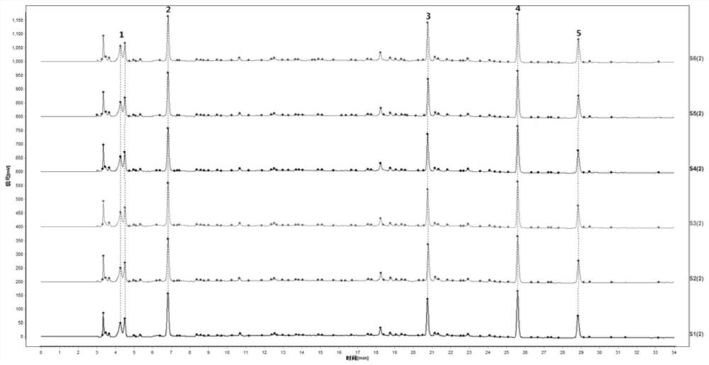 A comprehensive quality evaluation method based on the detection of multiple active components of Scrophulariaceae