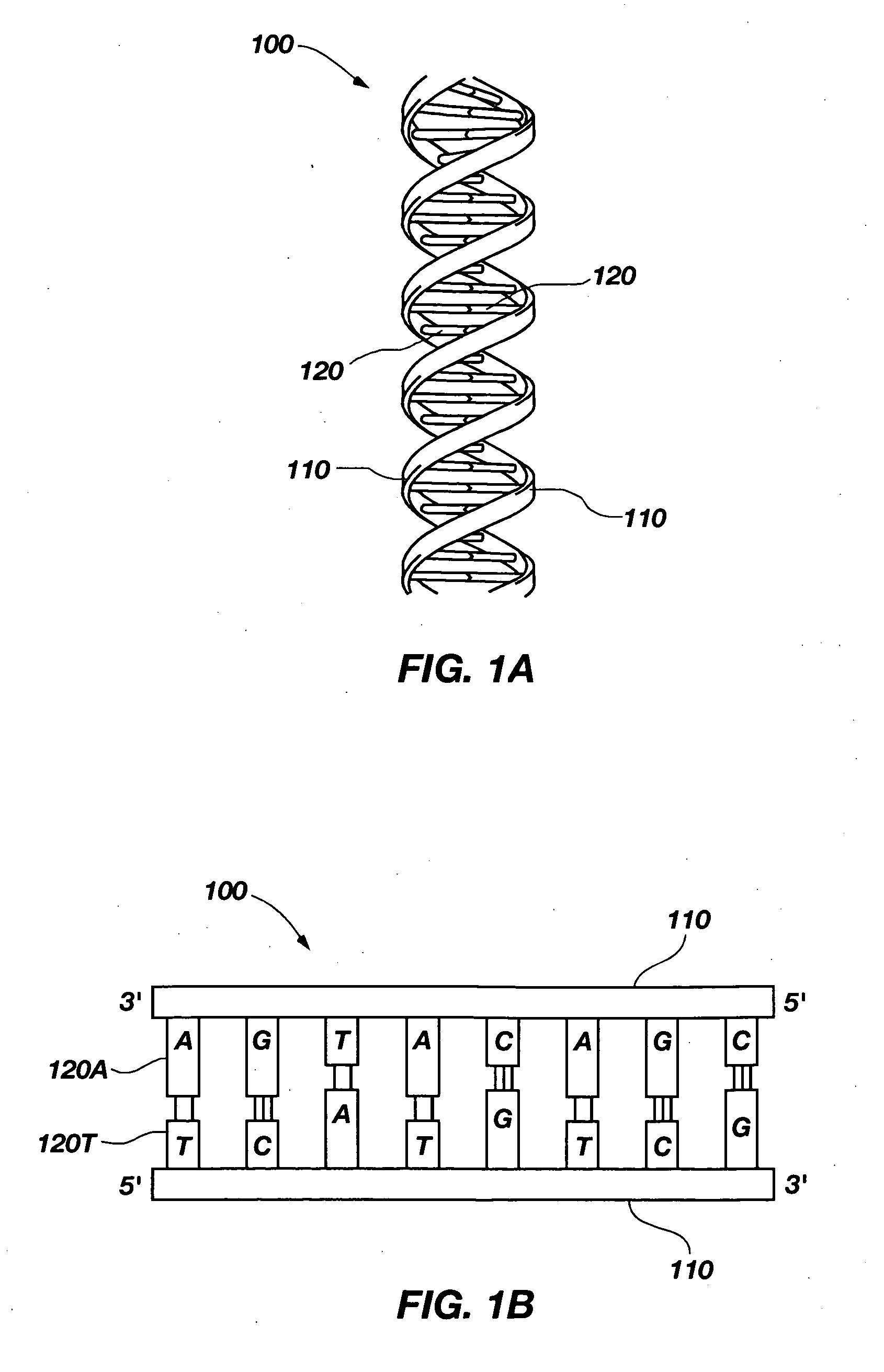 Method and apparatus for molecular analysis using nanowires