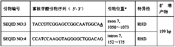 Rh blood type DEL type RHD1073T&gt;A allele and application thereof