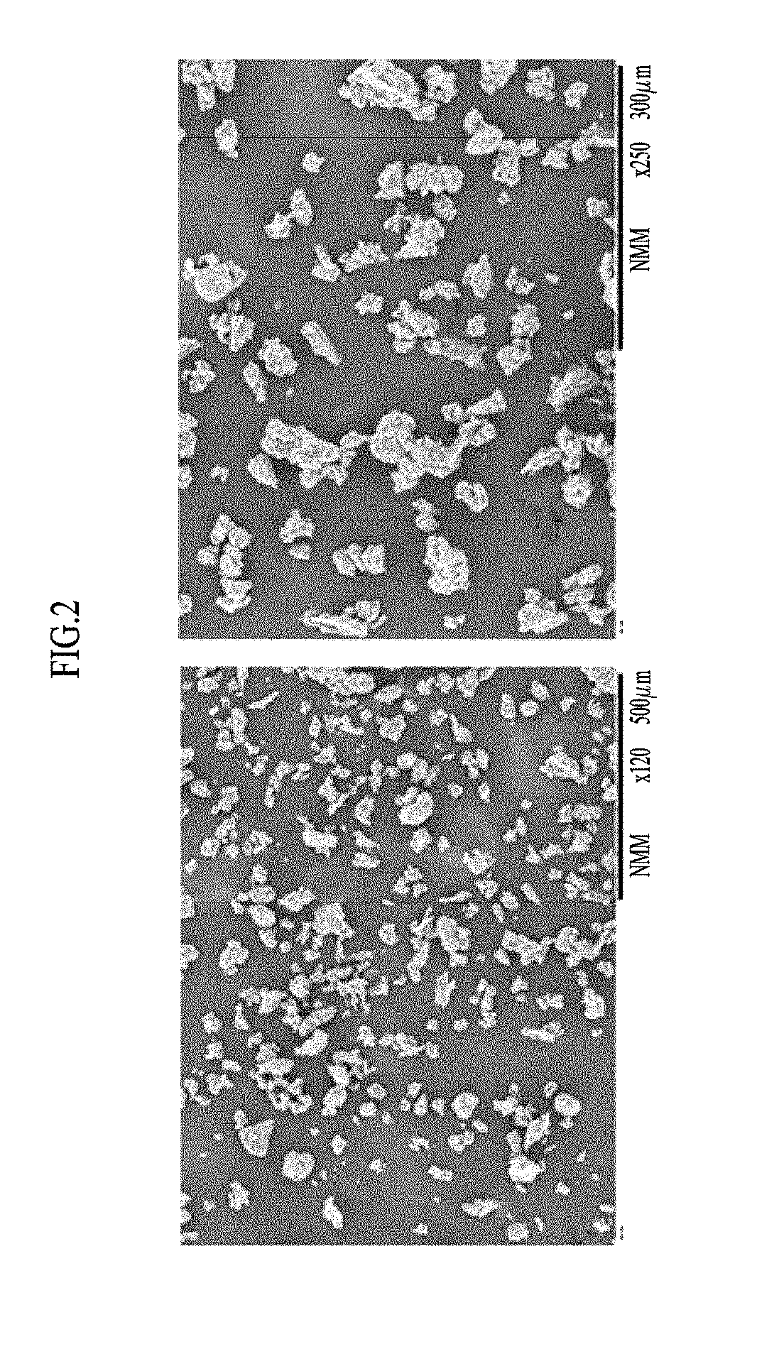 Protein-containing powder and method of producing thereof