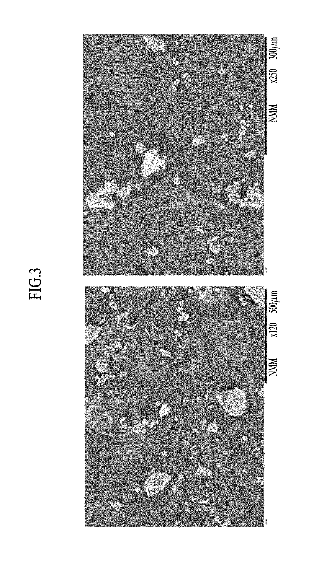 Protein-containing powder and method of producing thereof