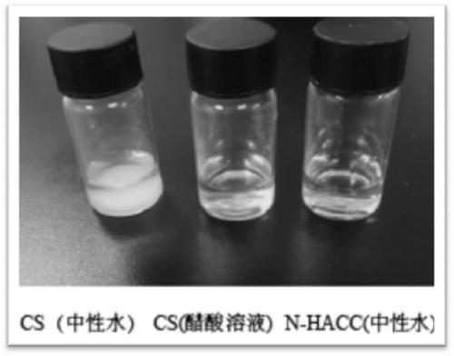 Methacrylic acid sericin/chitosan quaternary ammonium salt hydrogel as well as preparation method and application thereof