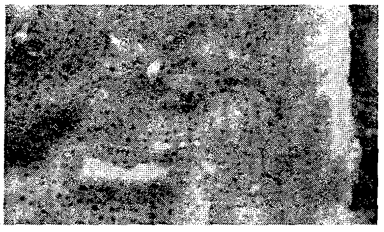 Method for making zinc-coated annealed steel sheet by dff conditioning