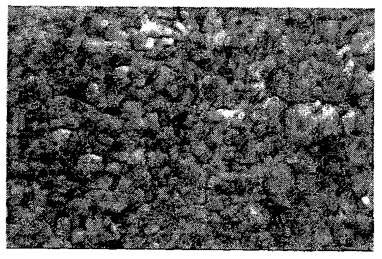 Method for making zinc-coated annealed steel sheet by dff conditioning