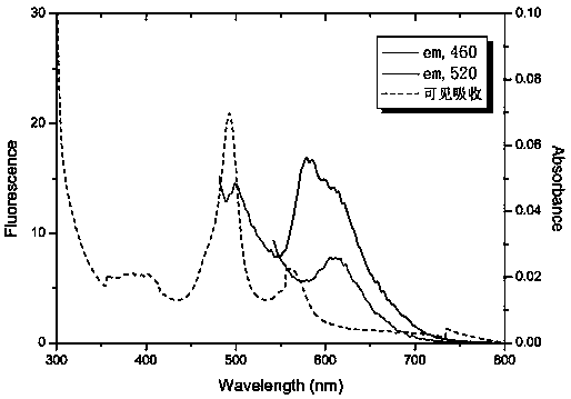 Preparation method of orange-fluorescence cyanobacteria phytochrome fluorescence indicator