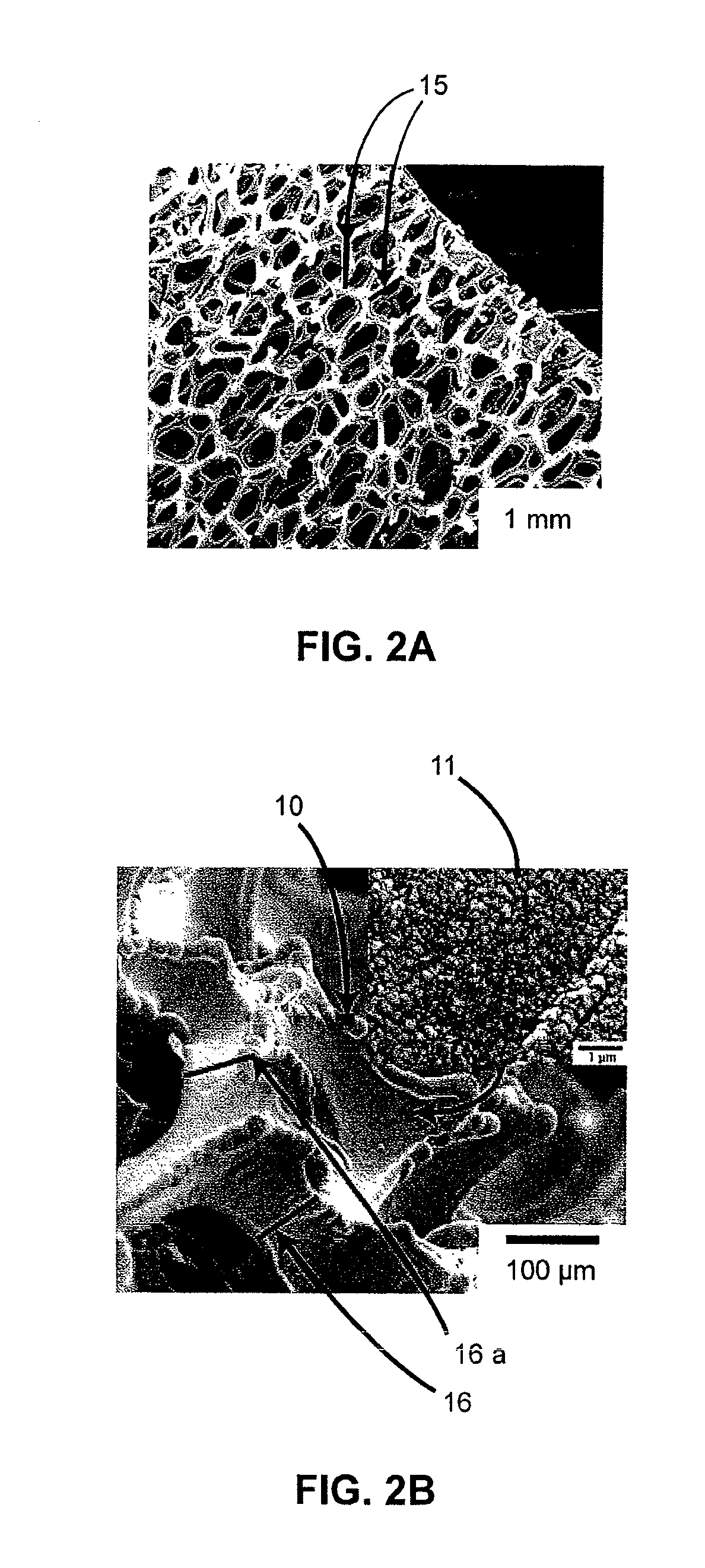 Lithium-ion battery having interpenetrating electrodes