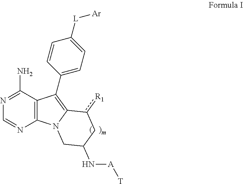 Pyrimido[5,4-b]indolizine or pyrimido[5,4-b]pyrrolizine compound, preparation method and use thereof