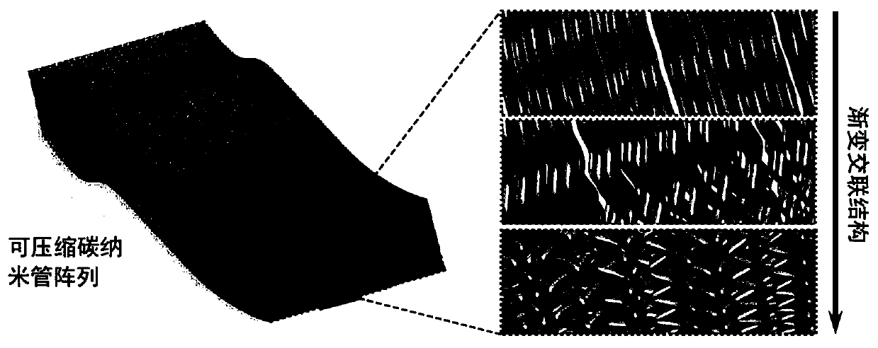 Graded cross-linked compression sensing supercapacitor and preparation method thereof