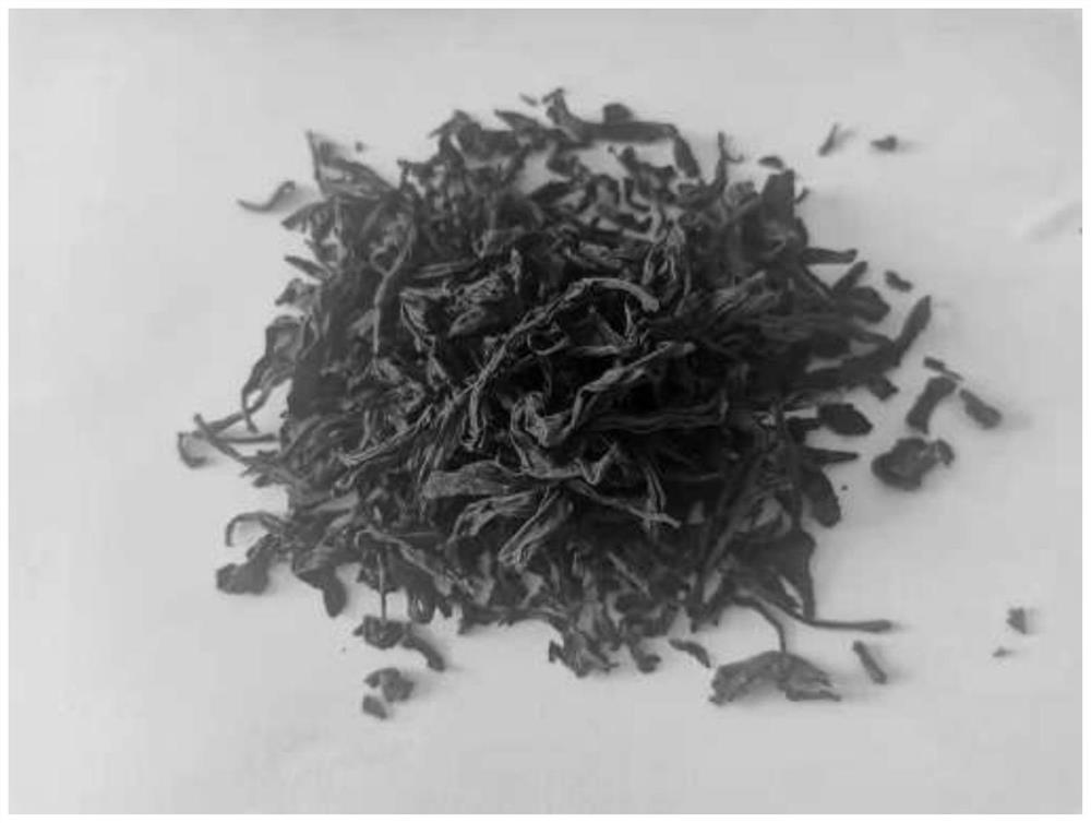 Burdock leaf tea with high chlorogenic acid content as well as preparation method and application thereof