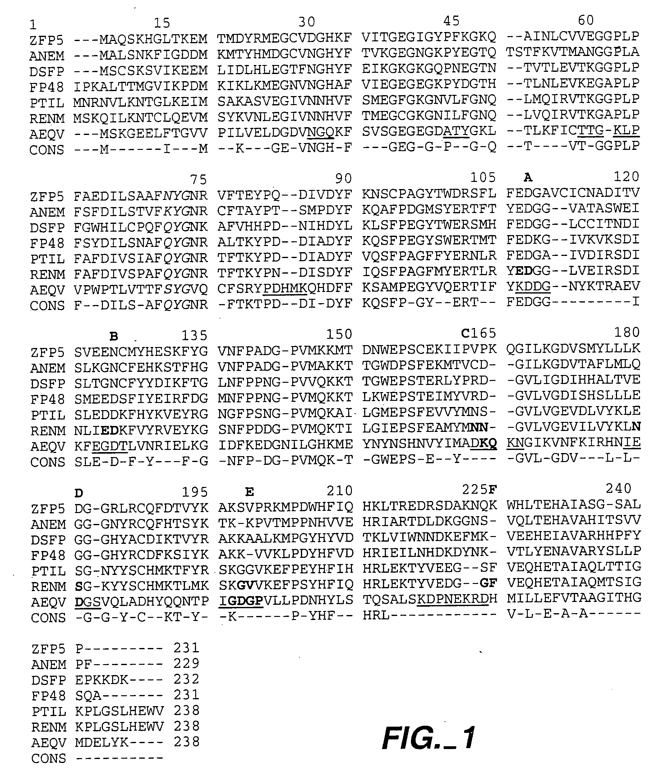 Methods and compositions comprising Renilla GFP