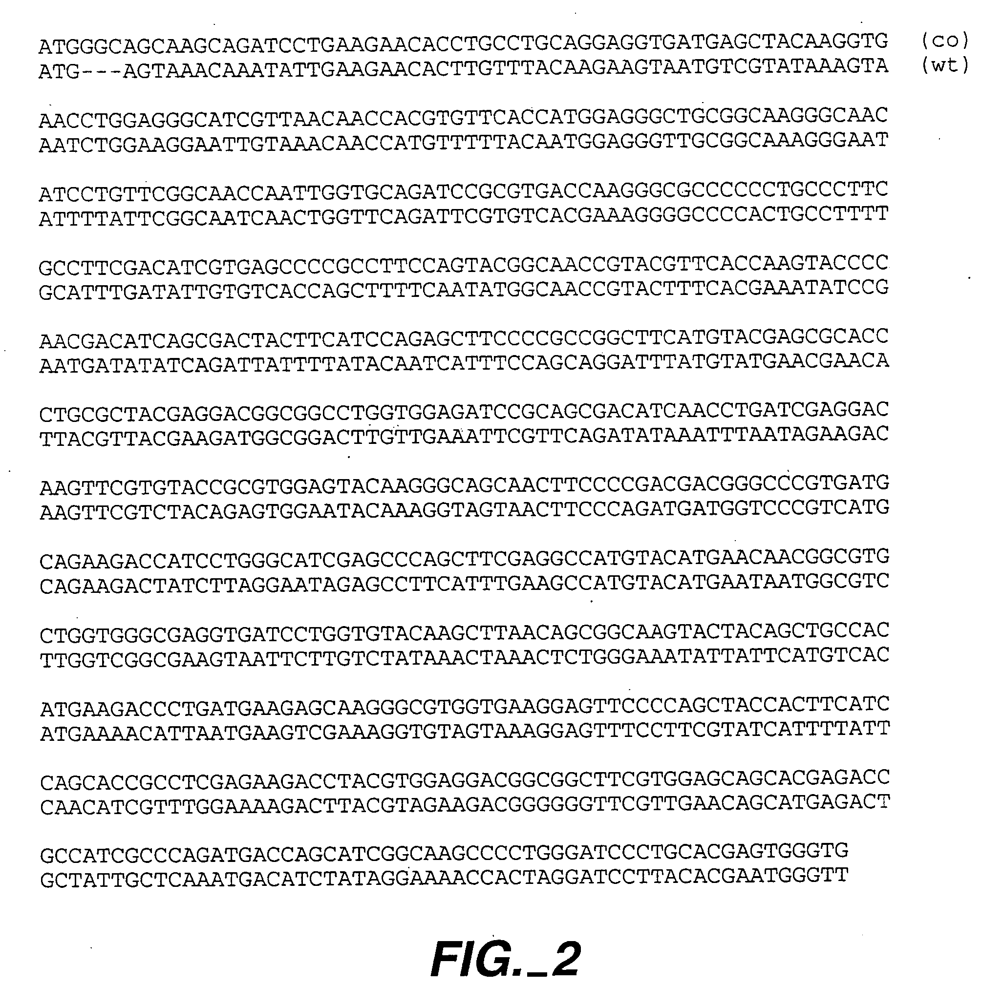 Methods and compositions comprising Renilla GFP