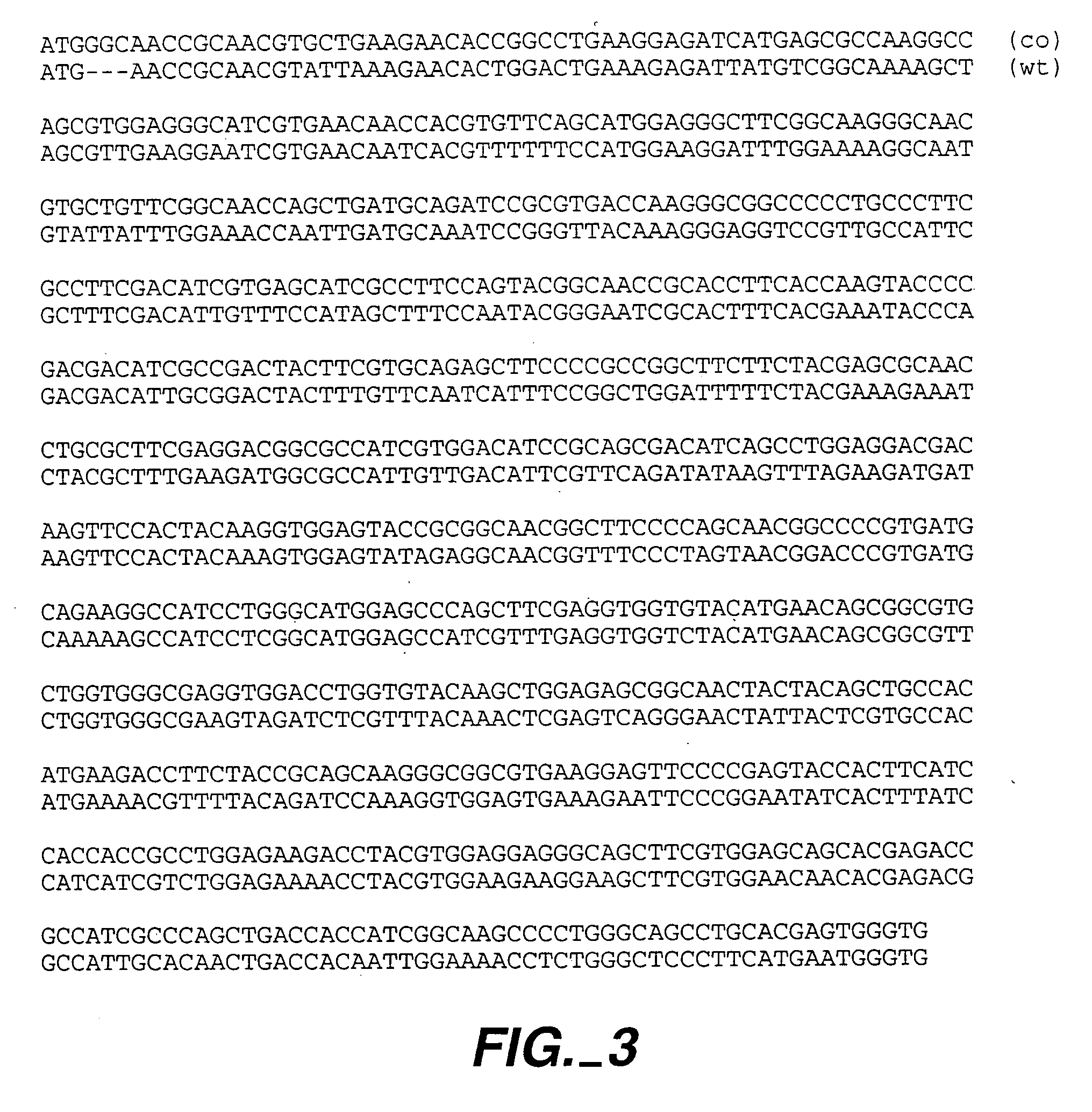 Methods and compositions comprising Renilla GFP