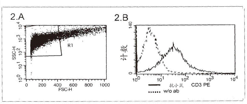 Method of intracellular infectious agent detection in sperm cells