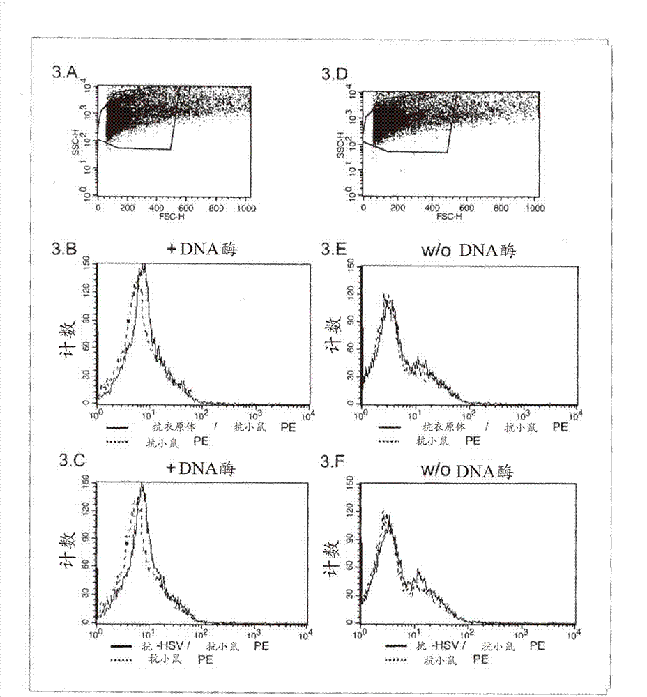 Method of intracellular infectious agent detection in sperm cells