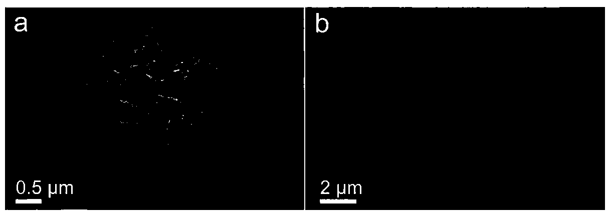 Preparation method of cobalt sulfide/three-dimensional nitrogen-doped macroporous graphene and negative electrode material of lithium ion battery