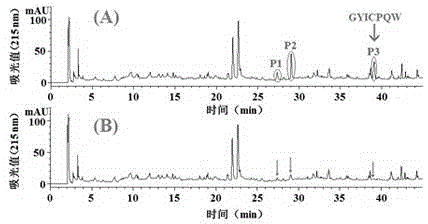 Application of dasyatis akajei cartilage polypeptide angiogenesis inhibition factor