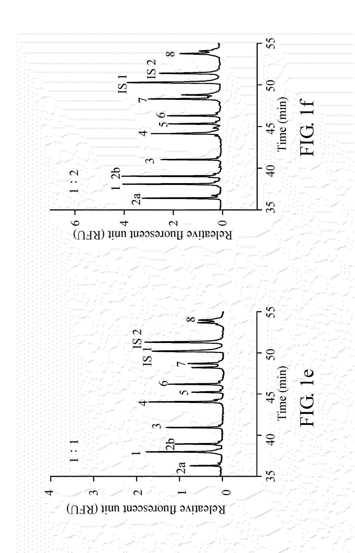 Method for diagnosing spinal muscular atrophy