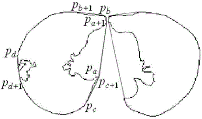 A Pulmonary Parenchyma Segmentation Method Based on Parabola Modified Convex Hull