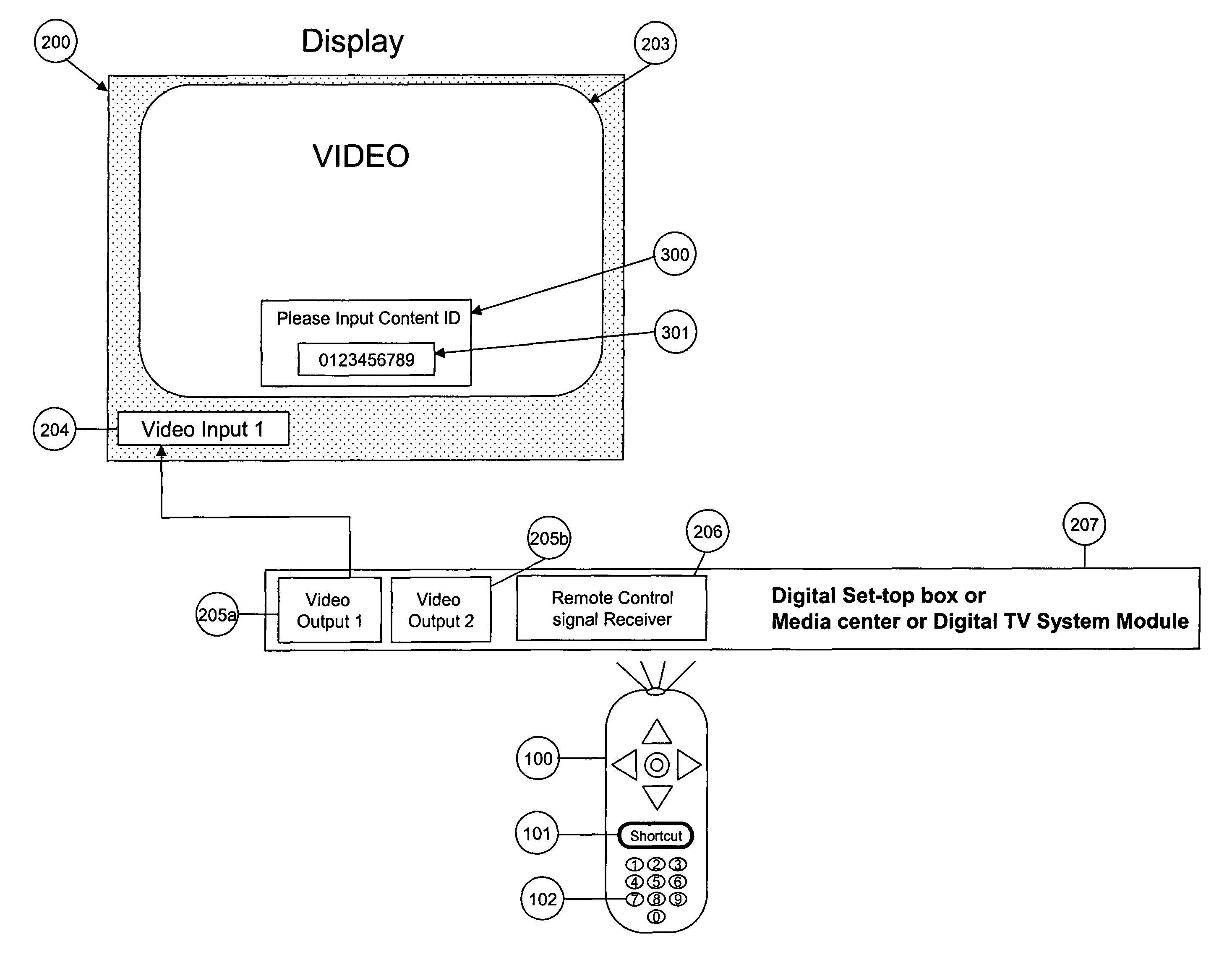 System for network and local content access