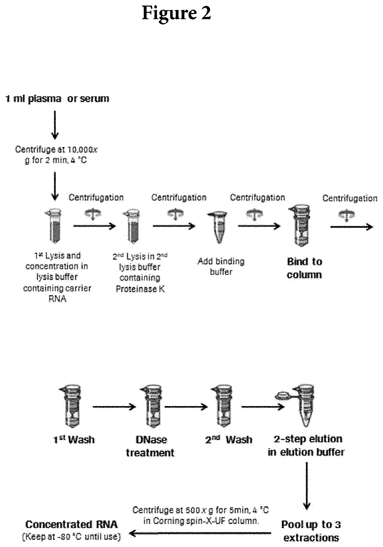 Method of isolating nucleic acids for long sequencing reads