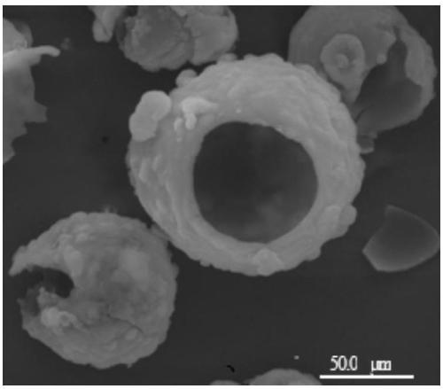 Preparation and Application of Hollow Spherical Mesoporous Silica/Chloroperoxidase Nanoreactor