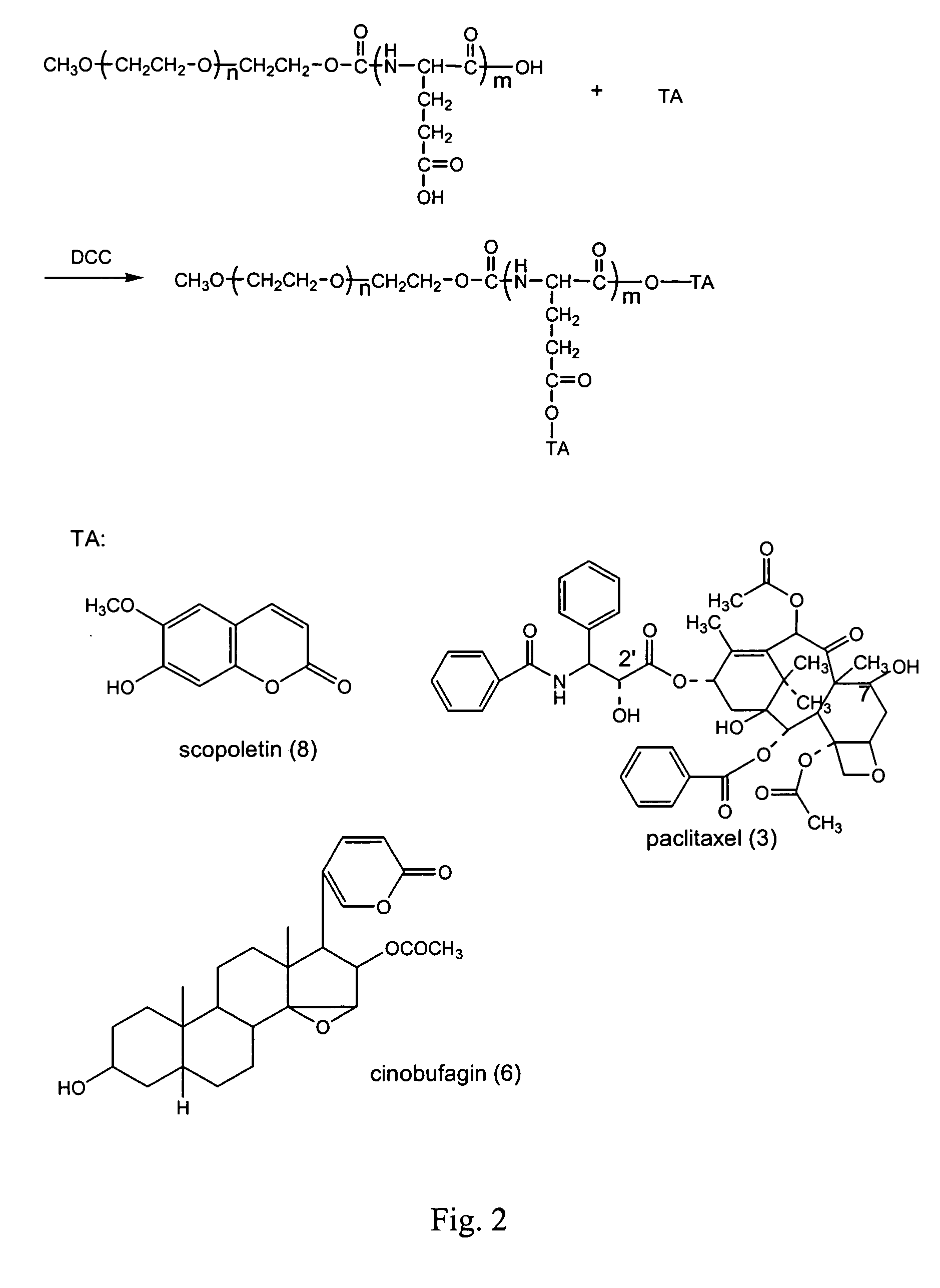 Compounds of hydrophilic polymer-polycarboxyl oligopeptide and medicines, medical composite comprising above compound and use of above compound in medicines